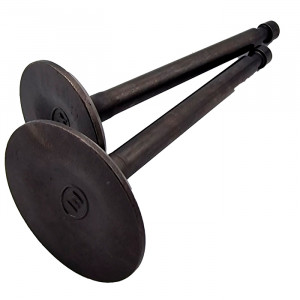 Клапаны ( пара 2шт) 188F 